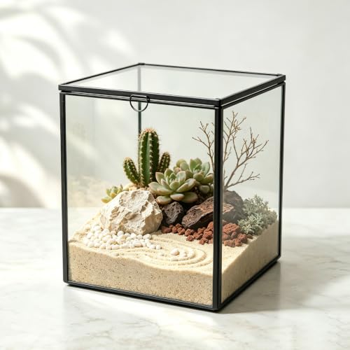 Ferrisland Glass Geometric Plant Terrarium, Clear Glass Succulent - size: 6.89" L x 6.89" W x 6.89" H