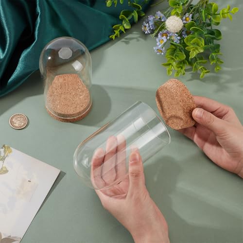 BENECREAT 2 Pcs Glass Display Cloche, 2.8x5.1 inches Bell Jar Dome with Cork Base, Display Dome Glass for Flower, Plant, Miniature and Craft, Home Decoration, ID: 2.6 inches - size: 2.8x5.1 Inch