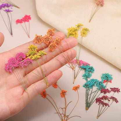 MECCANIXITY 12 Pcs Natural Dried Pressed Flowers for Craft, Lace Real Pressed Dried Flowers Colorful Bouquets for Resin Moulds DIY Scrapbooking Candle Jewelry Making, Yellow - color: Yellow