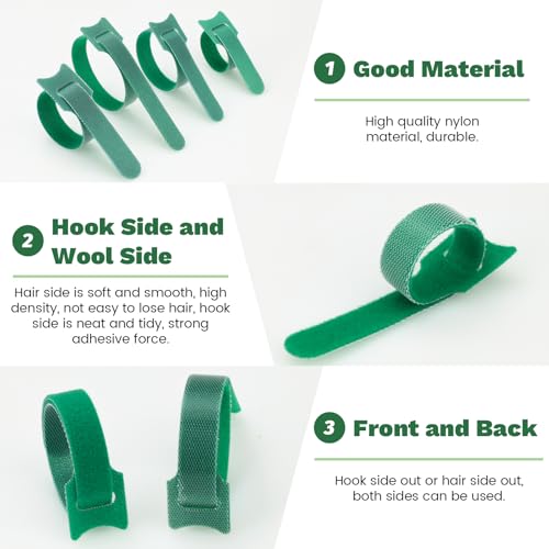 150 Pack Reusable Plant Ties, Hook and Loop Green Garden Tapes & Straps, Soft and Connectable, for Outdoor Climbing Plants, Tomato Support, 0.5in Wide, 6+8+10in - color: 150pcs, 0.5in wide( 6+8+10in)