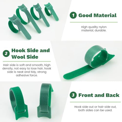150 Pack Reusable Plant Ties, Hook and Loop Green Garden Tapes & Straps, Soft and Connectable, for Outdoor Climbing Plants, Tomato Support, 0.5in Wide, 6+8+10in - color: 150pcs, 0.5in wide( 6+8+10in)
