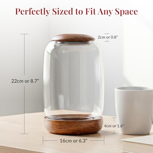 Exclusive Glass Terrarium with Natural Wood Lid and Base, Excellent for Plants and Decoration for Home or Office, Size: 8.7" Tall (22 cm) by 6.3" Wide (16 cm)