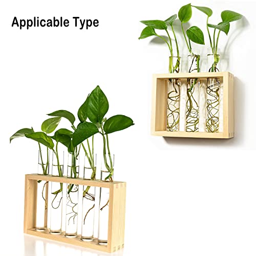 Kingbuy 3 Pack Glass Test Tube Propagation Vase Hydroponic Cuttings Planter