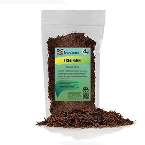 GARDENERA's Premium New Zealand Tree Fern - 4 Quart - Growing Medium for Orchids and Epiphytes | Provides Optimal Drainage and Aeration - color: TREE FERN, size: 4 Quart