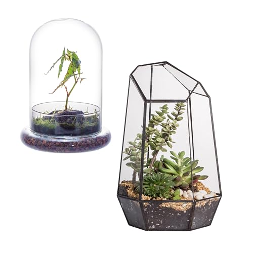 NCYP Glass Terrarium Bundle - Docorative Clear Glass Dome with Airhole, and Geometric Open Terrarium for Succulent, Plants