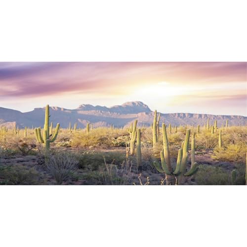AWERT Reptile Habitat Background Blue Sky Oasis Mountain Cactus Sun and Desert Terrarium Background 60x24 inches - size: 60x24in/150x60cm