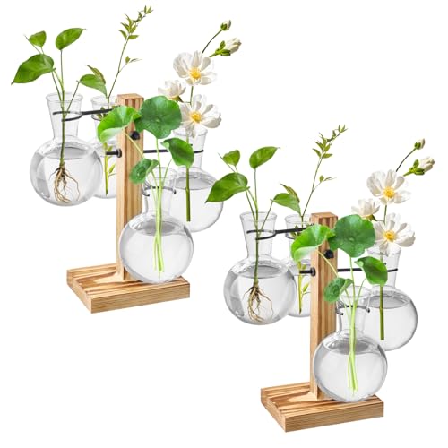 2 Sets Plant Propagation Station with Wooden Stand, 8 Glass Vase for Hydroponic Plant Cuttings, Tabletop Terrarium for Home, Garden & Office Decor, Ideal Gifts for Botanical Lovers