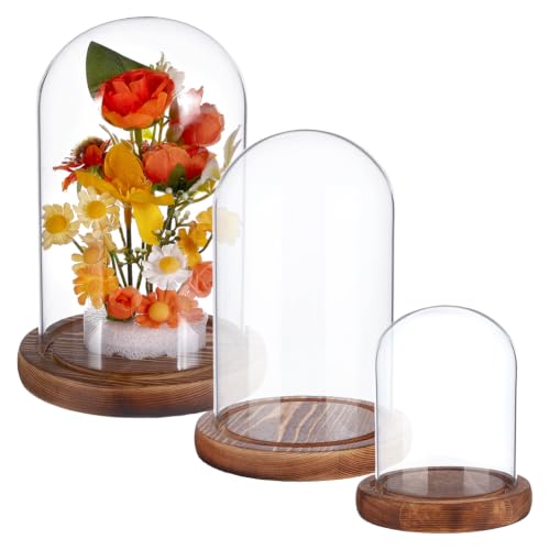 3 Pcs Glass Dome with Wood Base, Transparent Glass Decorative Display Dome Cloche for Fairy Lights, Figurine Ornaments Flower and Plants Display Home Decor