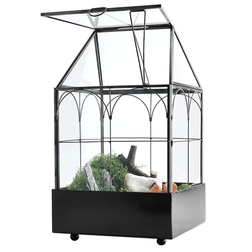 HighFree Glass Terrarium with Metal Tray, Glass Greenhouse Terrarium Kit - size: Small-5.9"L x 5.9"W x 10.2"H