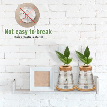 12 Packs Propagation Vases for Plants Plastic Plant Propagation with Hole Lid and Bamboo Stand Growing in Water Hydroponic Home Office Desktop Vase Decoration (Cute Style) - style: Cute Style