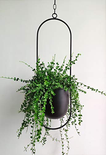 RISEON Boho Black Metal Plant Hanger,Metal Wall and Ceiling Hanging Planter, Modern Planter, Mid Century Flower Pot Plant Holder, Minimalist Planter for Indoor Outdoor Home Decor - color: Black