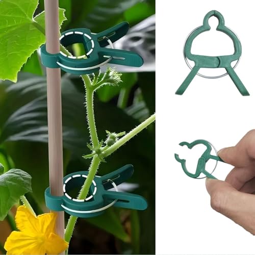 50/30/10Pcs Adjustable Plant Clips, Reusable Garden Plant Support Clips for Flowers Vines Vegetables Tomatoes, Durable Plastic Garden, Essential Gardening Tools(10 Pcs) - color: 10 Pcs