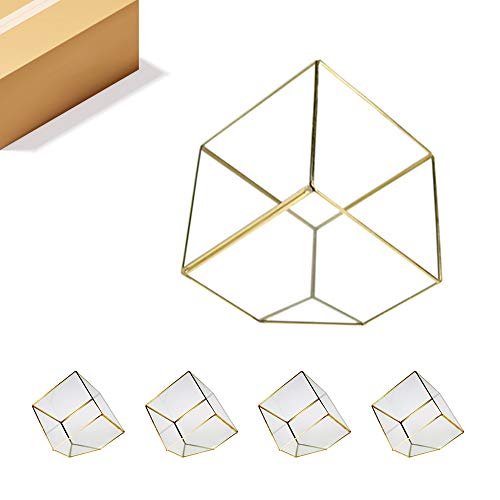 WGVI WGV Geometric Planter Terrarium Bulk, Clear Glass with Gold Frame, Tilted Cube, Width 11.5" Height 12", DIY Succulent Air Plant Miniature Fairy Garden Windowsill Tabletop Decor, 4 Pieces - color: Gold (1 Case), size: Tilted Cube 8"
