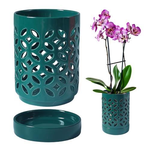 Orchid Pot 4 Inch, Orchid Pots with Holes & Saucers for Repotting, Breathable Slotted Orchid Pots Flower Plant Nursery Pot Green - color: Green Coin