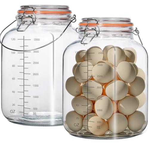 2 Pack 1 Gallon Glass Jar with Airtight Lids,Super Wide Mouth Large Mason Jars 128 oz,Glass Gallon Jugs Storage Container for Sun Tea,Kombucha,Storing,Canning