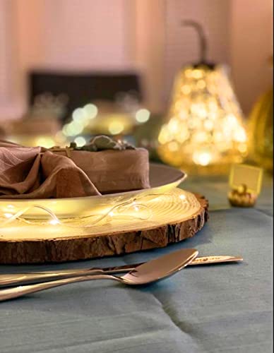 Set of 10 Large Wood Slices (11-13”) – Rustic Wooden Rounds for Wedding Centerpieces, Event Decor, and Table Centerpieces - size: Set of 10 Large (11-13")