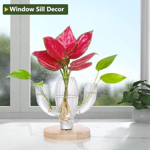 Plant Propagation Stations, Unique Cactus-Shaped Plant Propagating Vase, 3 Independent Areas for Various Plants, Gardening & Housewarming Gifts for Plant Lovers, Home or Office Decor