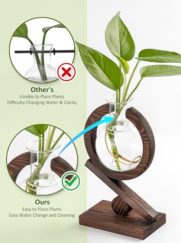 Glass Plant Propagation Station with Wooden Stand, Dark Burnt Wood - color: Dark Burnt Wood
