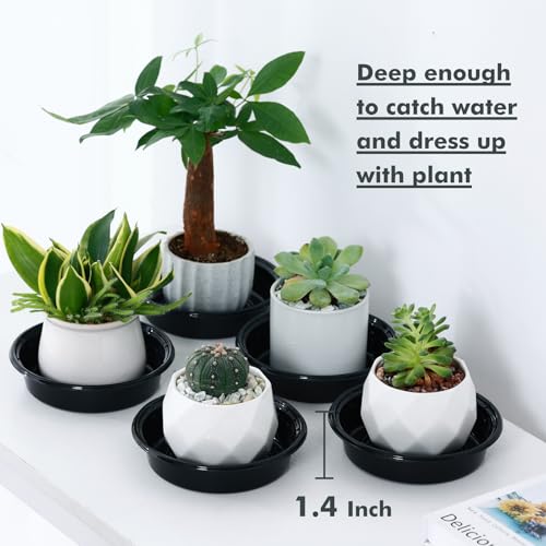 Plant Saucer 30 Pack Plant Trays for Pots 4/6/8/10/12 Inch Plastic Plant Saucers for Outdoors & Indoors Black Drip Trays for Potted Plants Flower Pot Plates to Catch Water Drainage Dishes No Holes - size: 4/6/8/10/12 Inch - 30 Pack