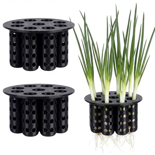 2 Pack Green Onion Planter Scallion Grower Sprouting Kit, Black - color: Black