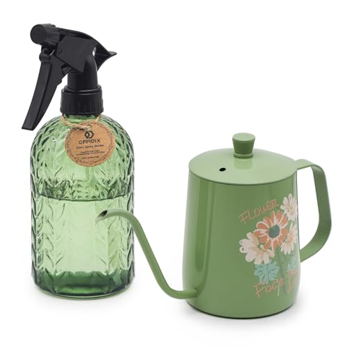 Watering Can for Indoor Plants, Green Water Can Spray Bottle 2 Pack | Long Spout Metal Stainless Steel 21oz Small Watering Can with 14oz Glass Plant Mister Spray Bottle for Plant Bonsai Water Can - color: Green Watering Can+spray Bottle