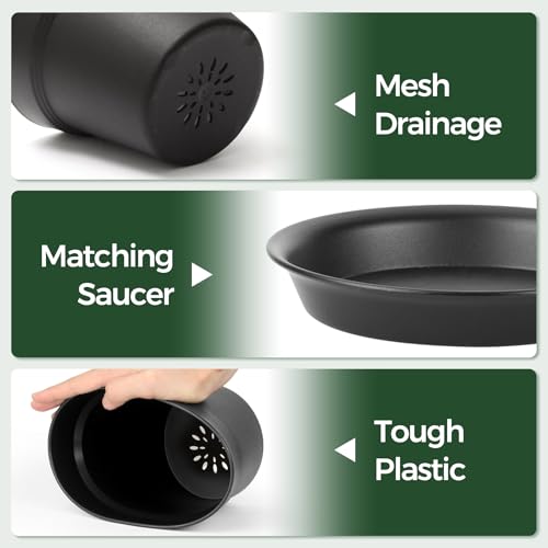 T4U 7.5 Inch Plant Pots 6 Pcs, Flower Pots for Indoor Plants Plastic Pots for Plants with Drainage Holes and Saucer, Planters for Indoor Plants for House Cactus Succulent Black | Indoor houseplant use, Peace lily orchid and herbs, Drainage design, Lightwe