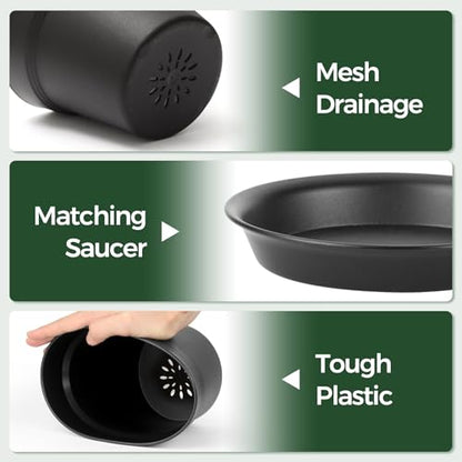 T4U 7.5 Inch Plant Pots 6 Pcs, Flower Pots for Indoor Plants Plastic Pots for Plants with Drainage Holes and Saucer, Planters for Indoor Plants for House Cactus Succulent Black | Indoor houseplant use, Peace lily orchid and herbs, Drainage design, Lightwe