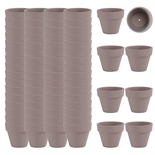 2 Inch Grey Terracotta Pots Pack of 72 - Mini Clay Pot with Drainage Hole for Tiny Cactus Herb lithop, Small Succulent Planter Nursery Plant Pot for Windowsill, Cactus Plant, Crafts, Wedding Favors - color: Gray