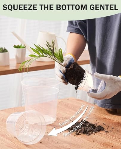 homenote 3/4/5/6.7 Inch Clear PP Nursery Pots with Drainage Holes (36 Pcs) - color: Transparency-no Lid, size: 3/4/5/6.7 Inch