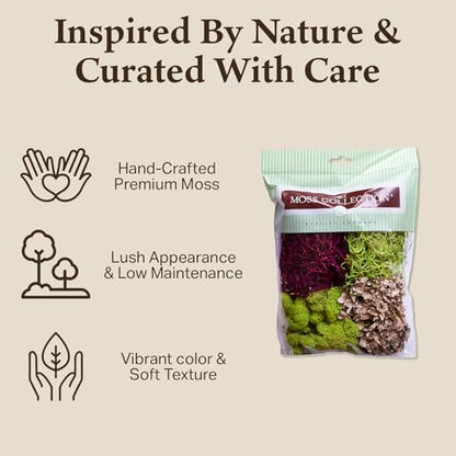 Quality Growers Variety Mix Moss, Preserved Moss, Red Mix, Small 2-Pack - color: Red Mix, size: Small 2-pack