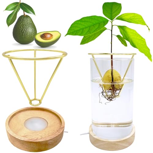 Avocado Vase, Avocado Growing Kit with Wooden LED Light Base, Avocado Seed Starter Vase, Propagation Stations for Forcing Tulip Bulbs, Acorn vase(Golden Support)
