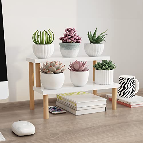 Small Plant Stand Shelf Indoor Desk, 2 Tiers Desktop Flower Stand | Window Sill Plant Shelf Ladder Tabletop Wood Display Stand for Mini Succulent Cupcake Spice Rack Countertop ( White, 14.2") - size: 2 Tiers