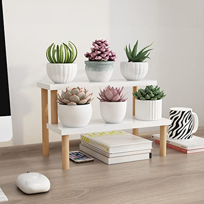 Small Plant Stand Shelf Indoor Desk, 2 Tiers Desktop Flower Stand | Window Sill Plant Shelf Ladder Tabletop Wood Display Stand for Mini Succulent Cupcake Spice Rack Countertop ( White, 14.2") - size: 2 Tiers