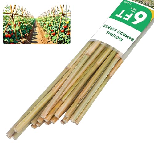 Natural Bamboo Plant Stake（6FT 15Pcs） Sturdy Bamboo Poles, Durable Plant Bamboo Stake, Garden Climbing Plant Bracket. - size: 6ft-15PCS