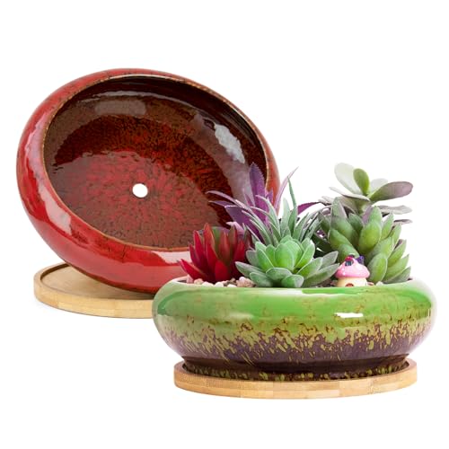 ARTKETTY Succulent Pots, 2 PCS Large Bonsai Pots with Drainage Tray - color: Green/Red