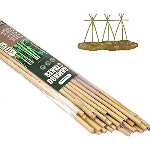 Cambaverd Bamboo Stakes, 4ft Tomato Stakes,25 Pack Bamboo Sticks for Plants - size: 4 FT-25PACK