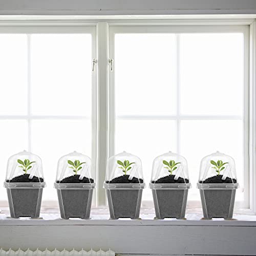 10 Pcs 3" Clear Plant Nursery Pot with Humidity Dome, Plastic Gardening Pot | Plastic Plant Container with Labels, Plastic Gardening Containers Cups for Seedlings Vegetables Succulents Cuttings - color: 10pcs-white, size: 3 Inch