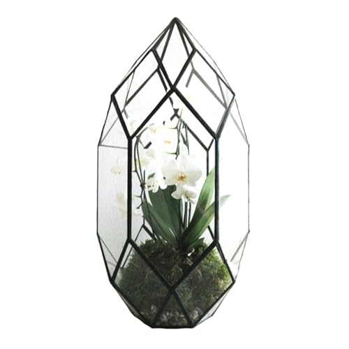 Ferrisland Handmade Glass Home Geometric Glass Succulent Flowerpot - size: 5.9" L x 11" W x 6.5" H