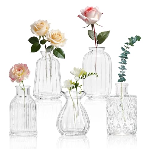 KJHL 5 Pcs Small Glass Bud Vases, Mini Flower Vases for Wedding Centerpiece - size: 5 Pcs