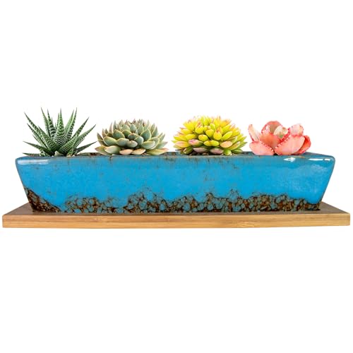 ARTKETTY Succulent Pots, 9.8 Inch Ceramic Succulent Planters with Drainage Small Bonsai Pot with Bamboo Tray, Mini Cactus Flower Planter Pot Shallow Rectangular Window Planters for Indoor Plants - color: Blue