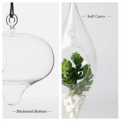 WGV Glass Hanging Plant Terrarium, Width 5", Height 5.5", Turnip DIY Succulent Air Planter Clear Tea Light Votive Candle Holder for Event Home Garden Outdoor Decor, 1 Piece - size: Turnip