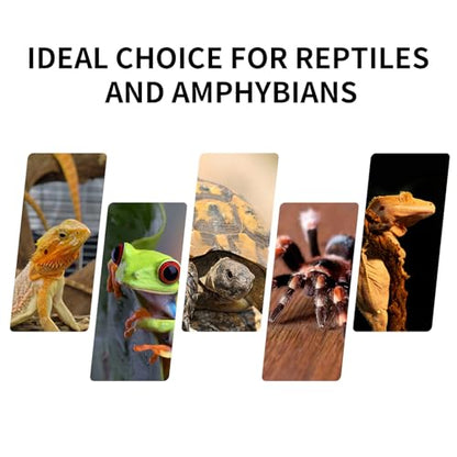 Mini Reptile Glass Terrarium Tank 8"x8"x12“ Full View with Front Opening Door and Enclosure Habitat Cage for Leopard Gecko Tarantula Young Lizard Hermit Crab Frog Insects Breeding Tank - size: 8x8x12 inch