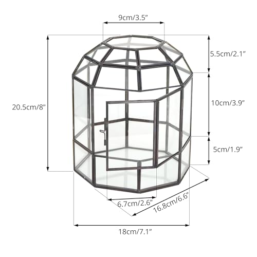 NCYP Geometric Glass Terrarium Dome for Succulent Cacti Air Plants, 6.6x6.6x8 Inches Closed Birdcage Planter Pot, Indoor Miniature Fairy Garden Display Container, Black, Handmade (Only Terrarium)