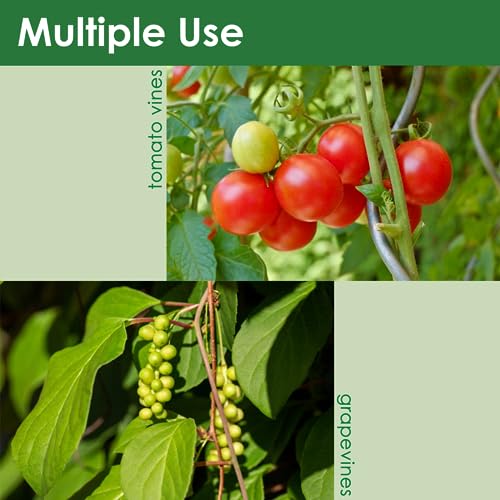Soft Plant Tie Garden Plant Twist Tie TPR Plant Supply, for Supporting and Fixing Garden Planting Branches Vines, Stems, for Garden, Office, Home Organizing (164ft /3.5mm Diameter, Green) - size: 164ft