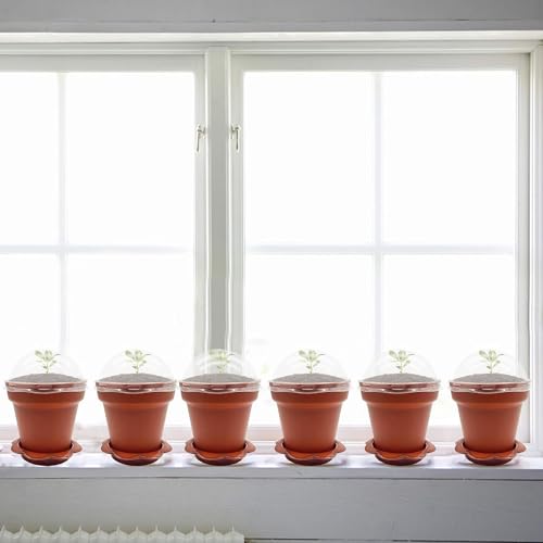 PURPLE STAR 1N 50 Packs Cupcake Plant Nursery Pots with Humidity Dome- Planting Containers Cups- Small Flower Pots with Trays & Lids for Indoor Outdoor Seedling Succulent Vegetable (Wine Red) - color: 50 Packs