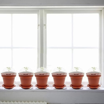 PURPLE STAR 1N 50 Packs Cupcake Plant Nursery Pots with Humidity Dome- Planting Containers Cups- Small Flower Pots with Trays & Lids for Indoor Outdoor Seedling Succulent Vegetable (Wine Red) - color: 50 Packs