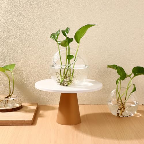 POPETPOP Plant Terrarium Glass Air Plant Holder: 3Pcs Tabletop Succulent Air Plant Planter Glass Succulent Planter Air Plant Vase for Succulent Cactus Plant, 12.00X12.00X12.00CM