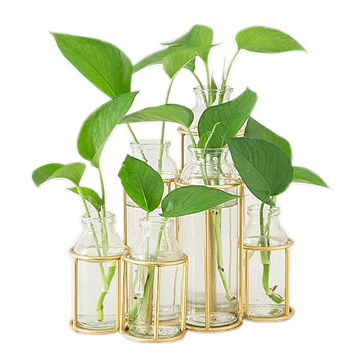 Flower Vases with 6 Bottle Crystal Clear Glass Flower Vase with Metal Stand Propagation Station Plant Display Holder Set for Home or Wedding Décor