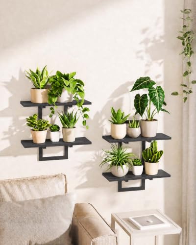 Bamworld Floating Shelves for Wall Planters Indoor Hanging Plant Shelves - color: Black-rectangular, size: 2 pcs