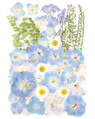 Real Dried Pressed Flowers Leaf Plant Herbarium for Crafts Resin Jewelry Making, Floral Cake Decorations-Fog Blue - color: Fog Blue